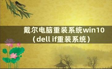 戴尔电脑重装系统win10（dell if重装系统）